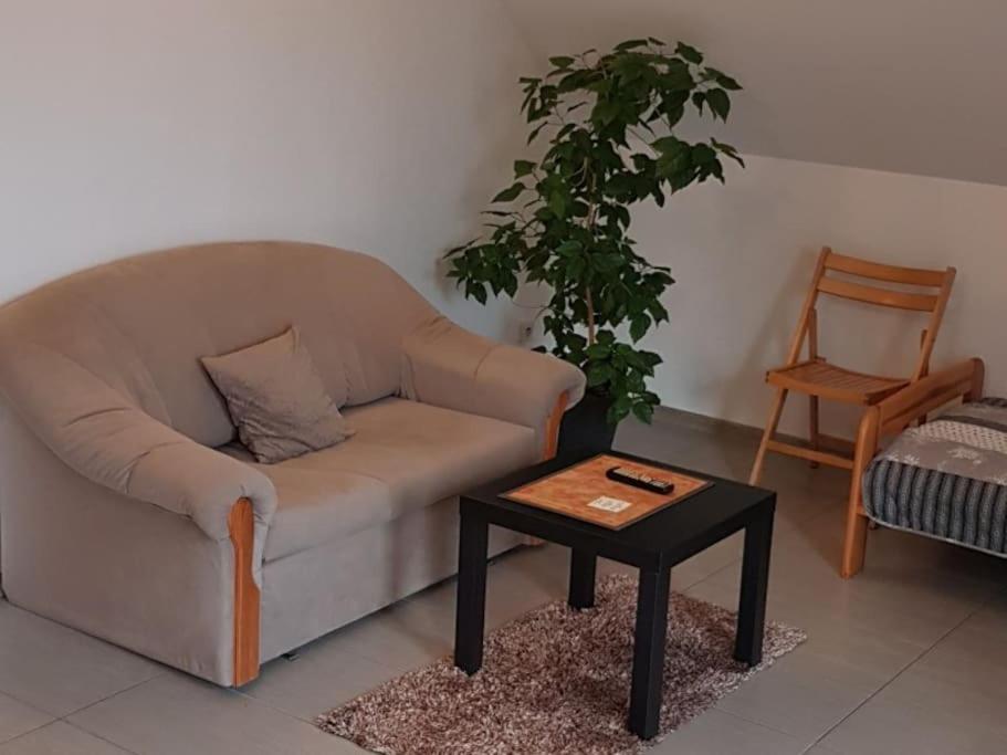 Agroturystyka Wielkie Lezno Ngoại thất bức ảnh